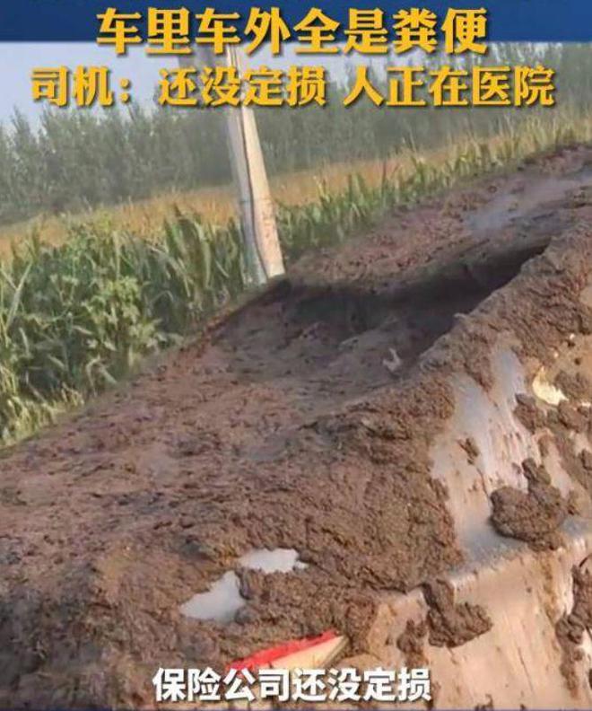 ขี้หล่นใส่รถ