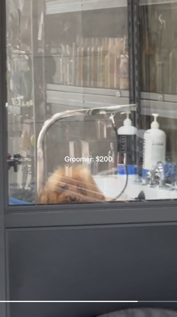 ลูกเศรษฐี