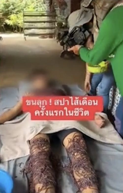 สปาไส้เดือน