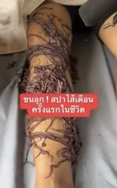 สปาไส้เดือน