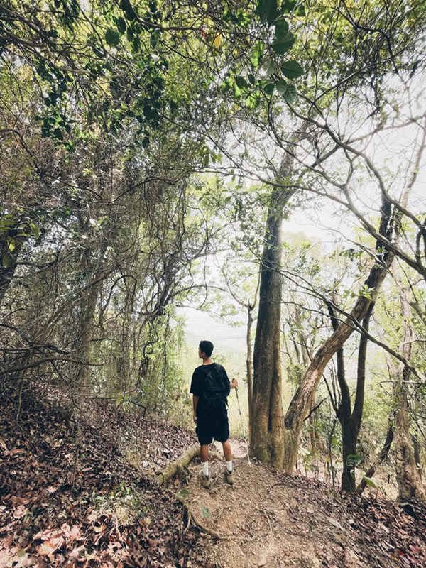 เนื้องอกเซลล์สืบพันธุ์