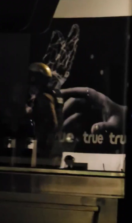 กราดยิงพารากอน