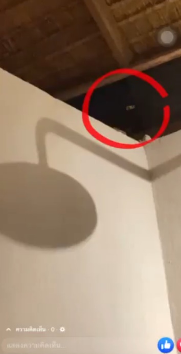 แอบถ่าย