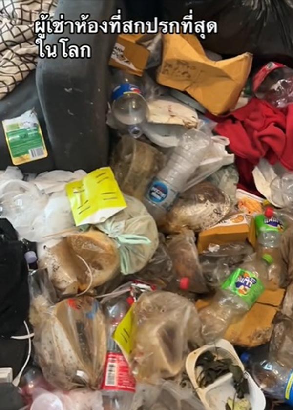 สาวสวยห้องรก