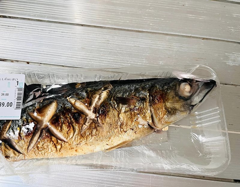 พยาธิในซาบะ