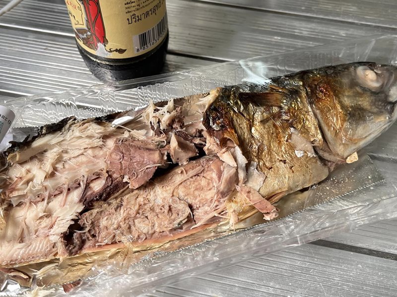 พยาธิในซาบะ