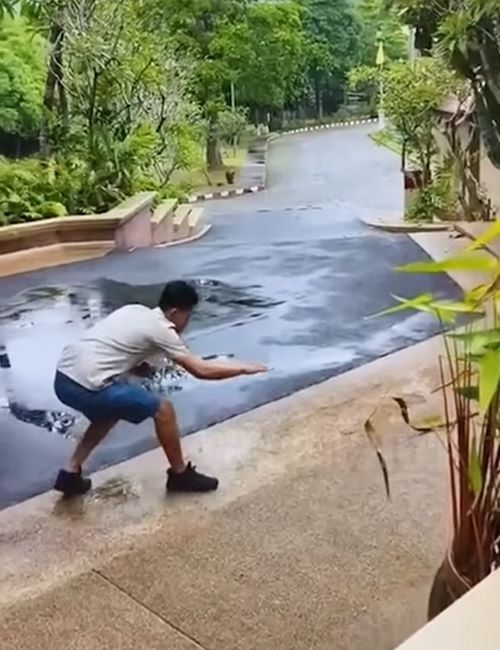 จับงูมือเปล่า