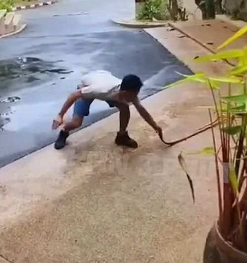 จับงูมือเปล่า