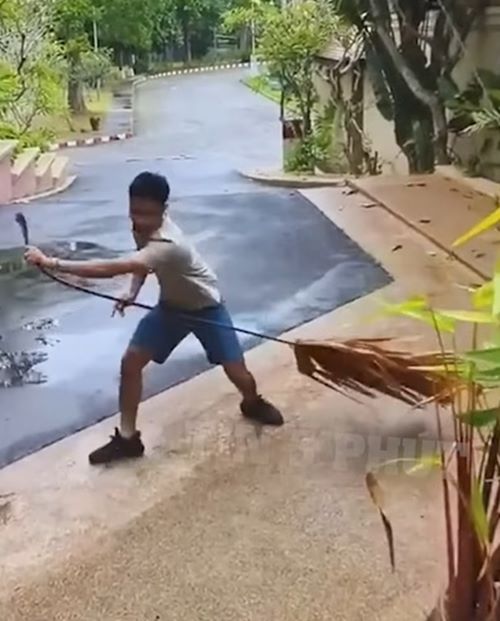 จับงูมือเปล่า