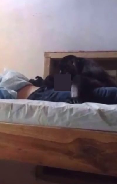 ลิงลักหลับผู้ชาย