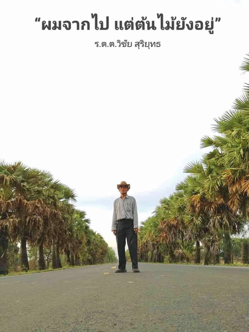 ดาบวิชัย คนบ้าปลูกต้นไม้