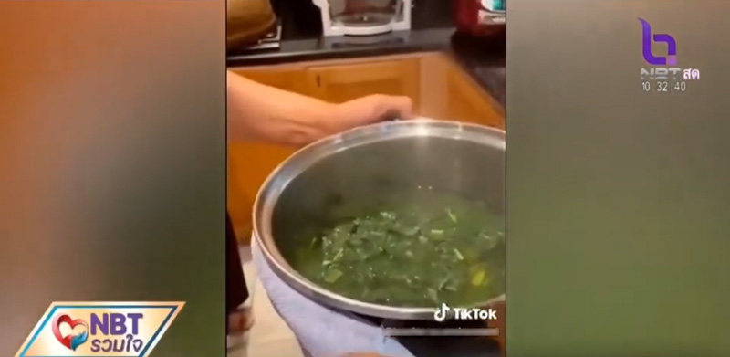 ใบมะละกอ รักษามะเร็ง