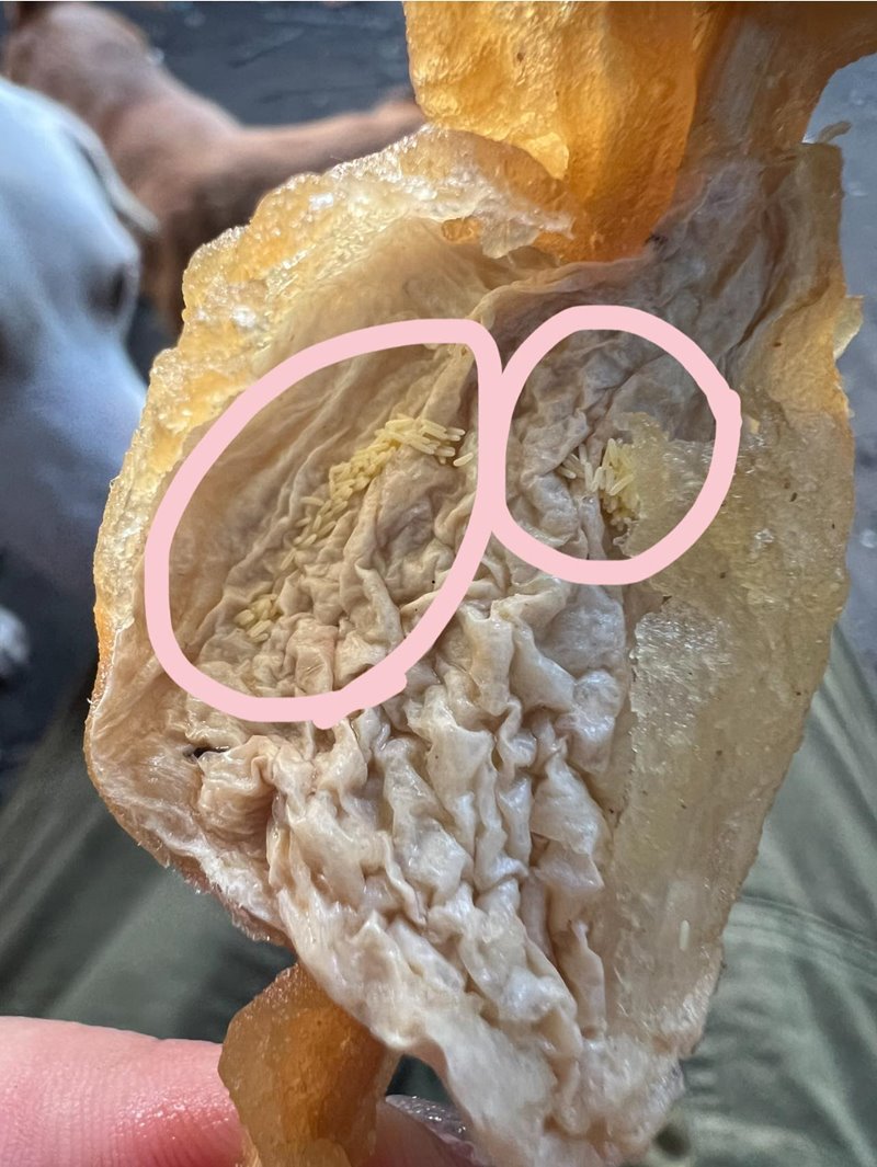 ลูกชิ้นทอด