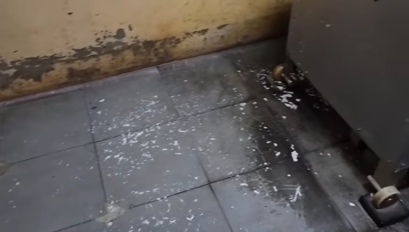 โรงงานลูกชิ้นเถื่อน