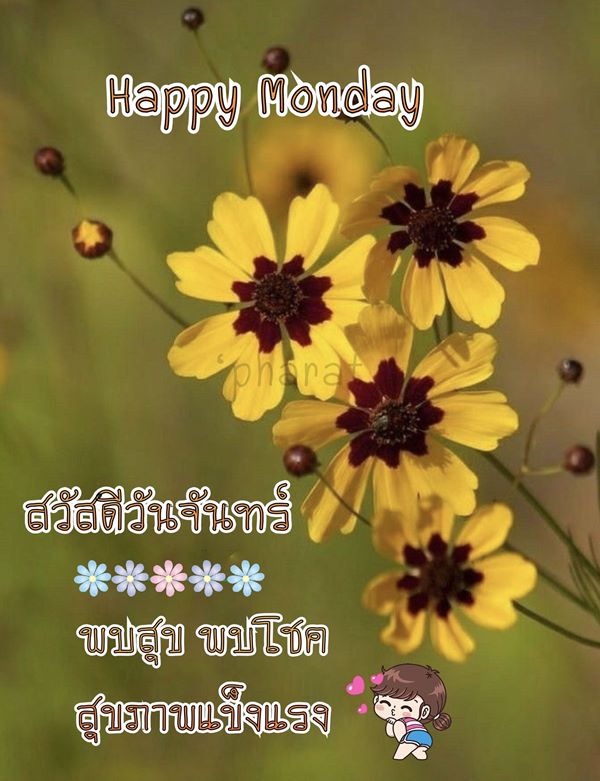 เกือบตายเพราะไลน์สวัสดีวันจันทร์