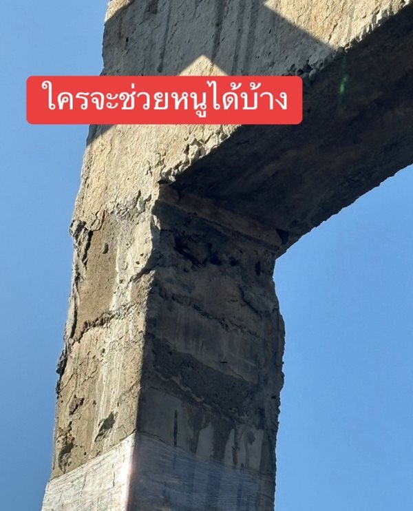 โวยบริษัทรับเหมาก่อสร้าง