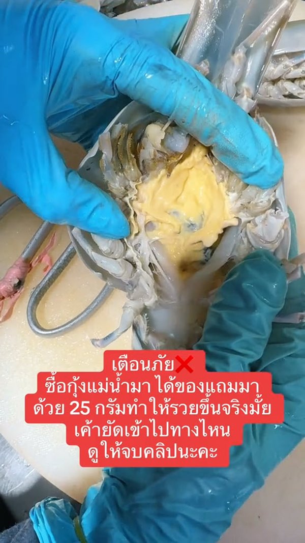 โกงน้ำหนักกุ้ง
