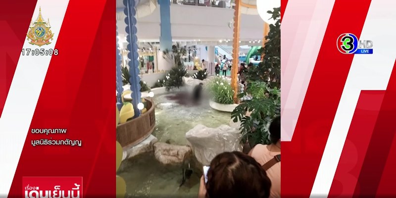 คนโดดห้างดังย่านบางแค