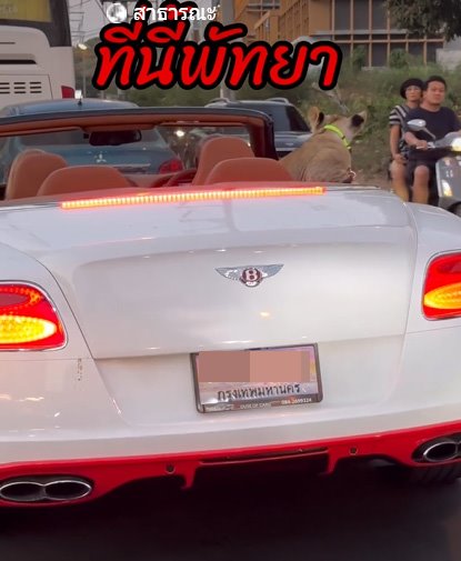 สิงโตนั่งรถเปิดประทุน