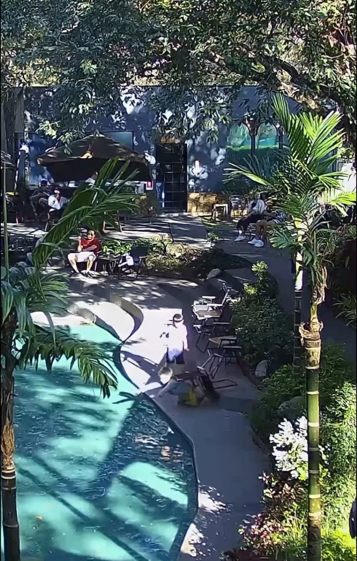 เด็กตกสระน้ำคาเฟ่