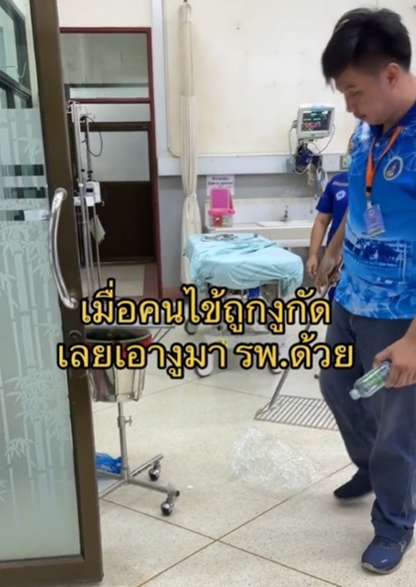 งูหลุดในโรงพยาบาล