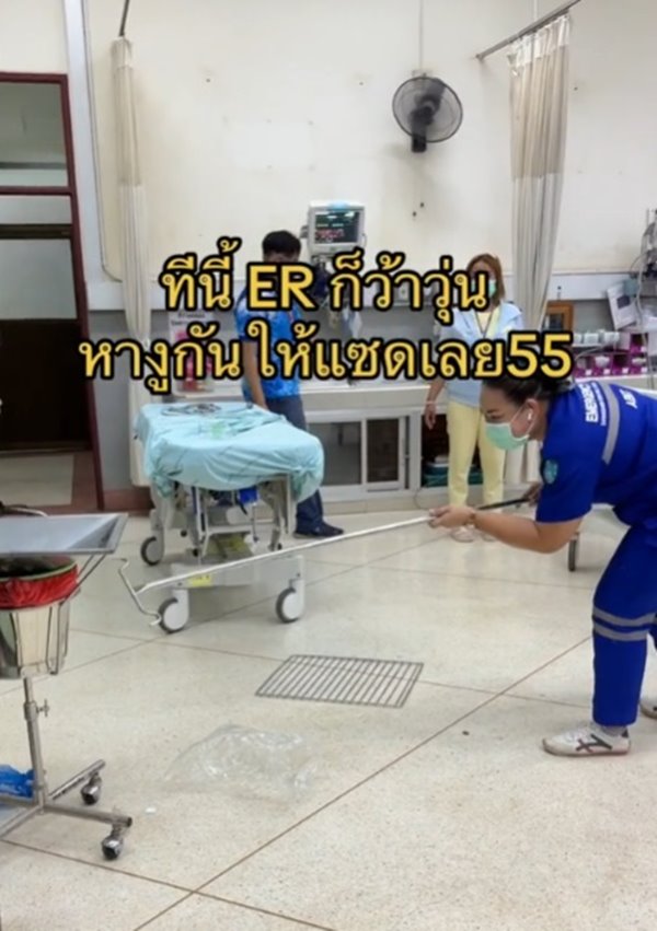 งูหลุดในโรงพยาบาล