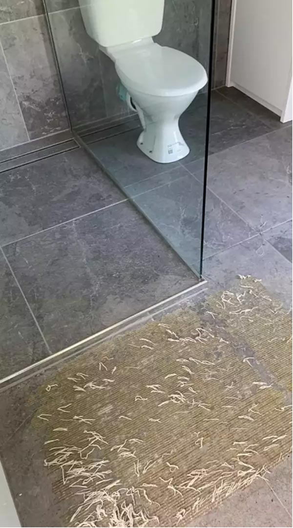 พรมเช็ดเท้า