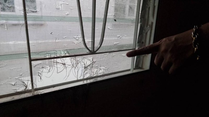 ผู้เช่าแสบ