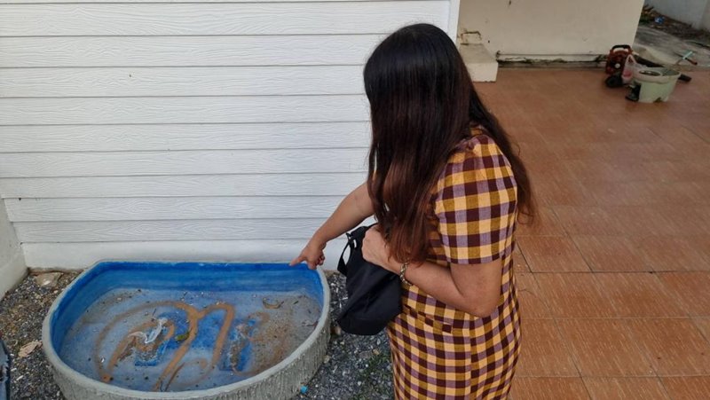 ผู้เช่าแสบ