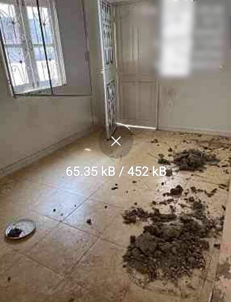 ผู้เช่าแสบ