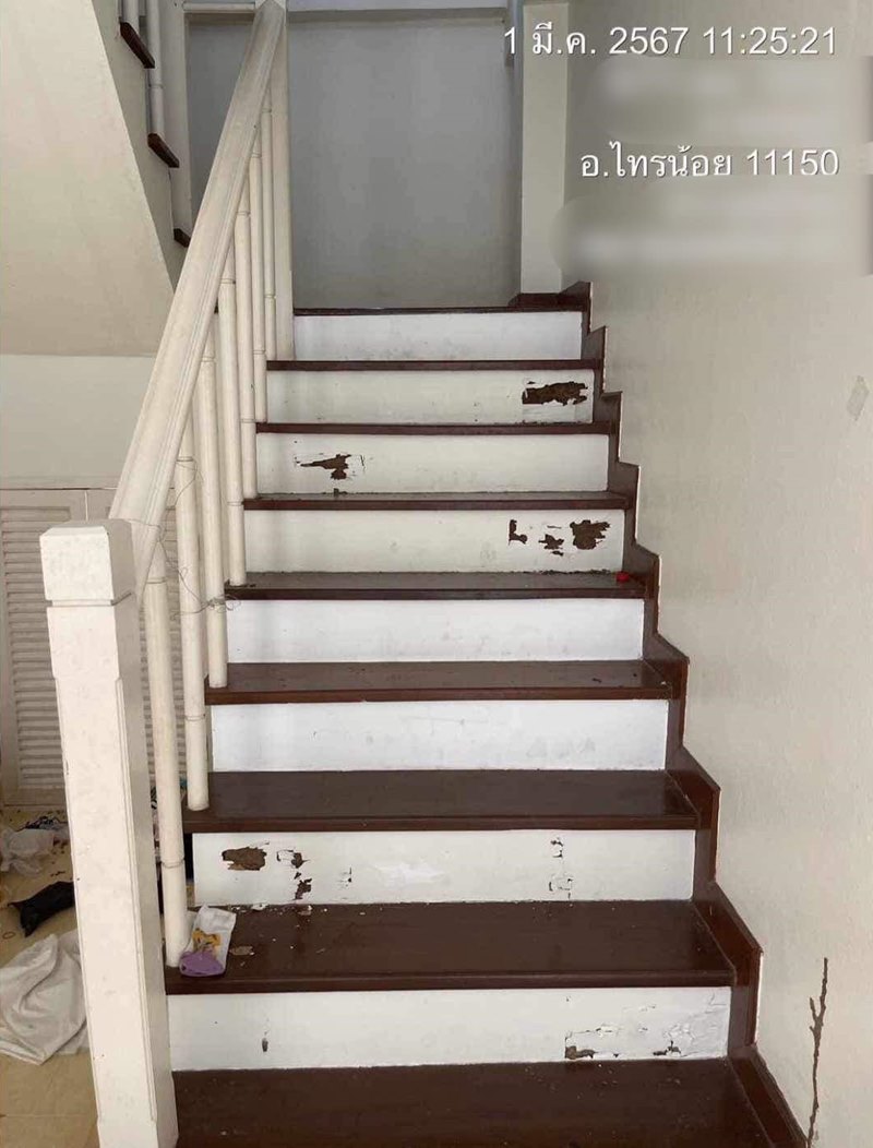 ผู้เช่าแสบ