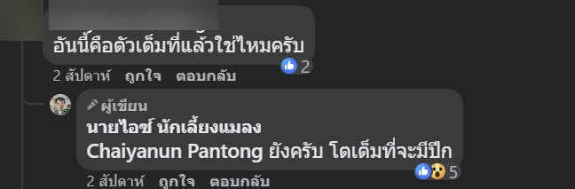 จิ้งหรีดยักษ์