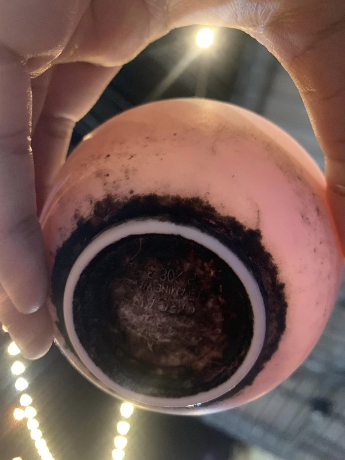 ร้านอาหารสกปรก