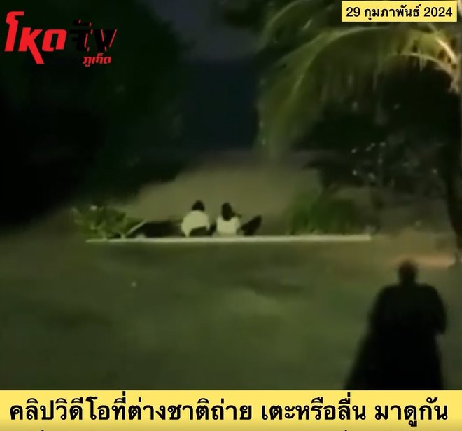 ฝรั่งถีบหมอ