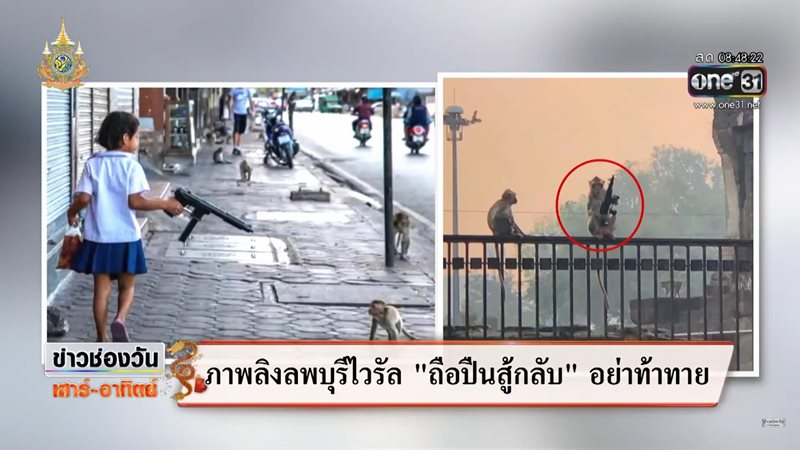 ปัญหาลิงลพบุรี