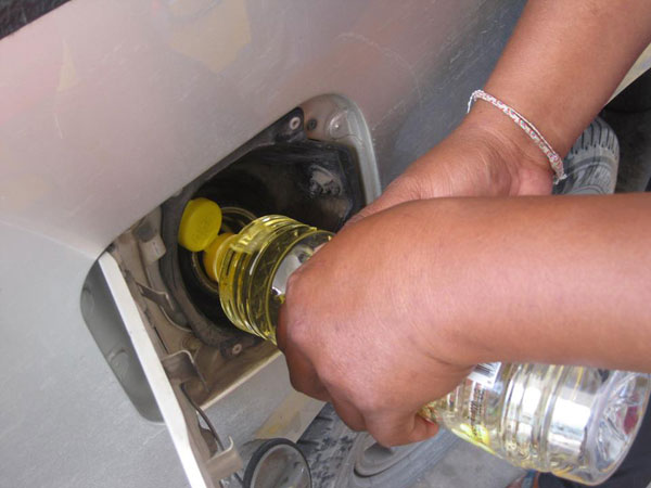 เติมน้ำมันพืชแทนดีเซล