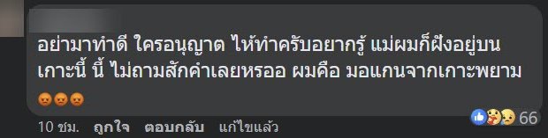 ล้างป่าช้า