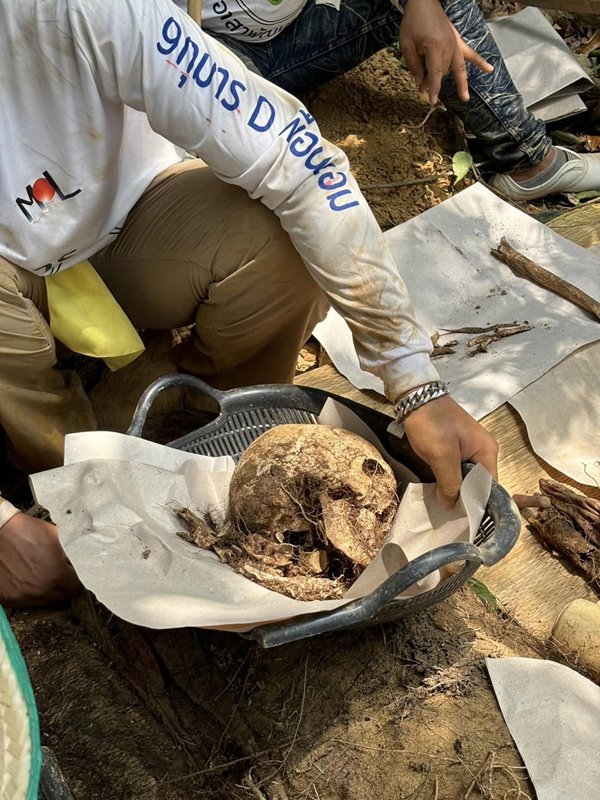 ล้างป่าช้า