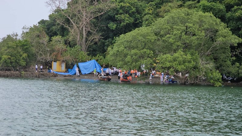 ล้างป่าช้า