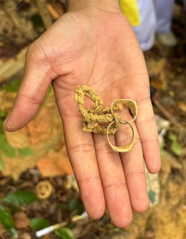 ล้างป่าช้า