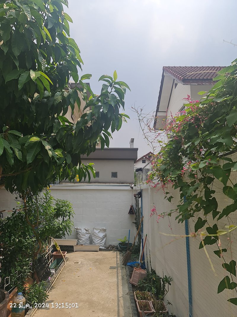 ปัญหาเพื่อนบ้าน