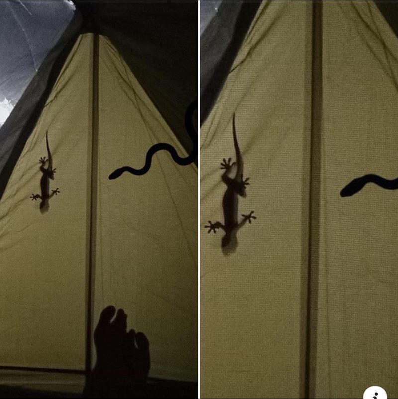 นอนเต็นท์