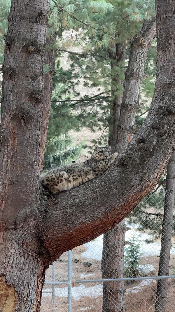 ดราม่าช่างภาพ