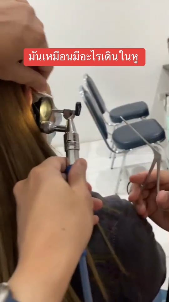 เห็บเข้าหู