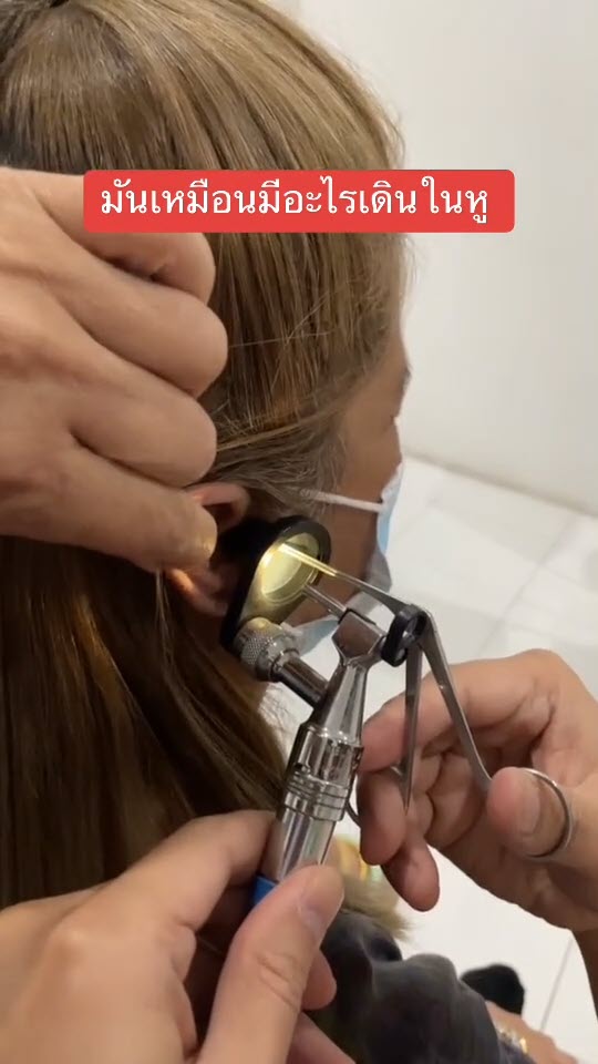 เห็บเข้าหู