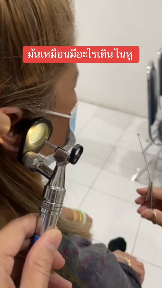 เห็บเข้าหู