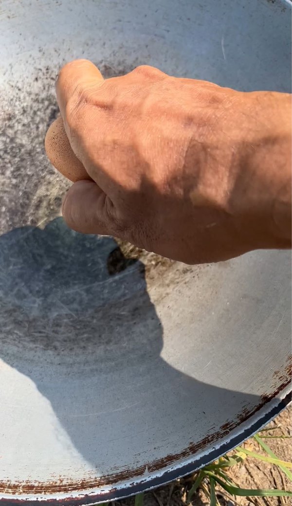 ทอดไข่ด้วยแดด