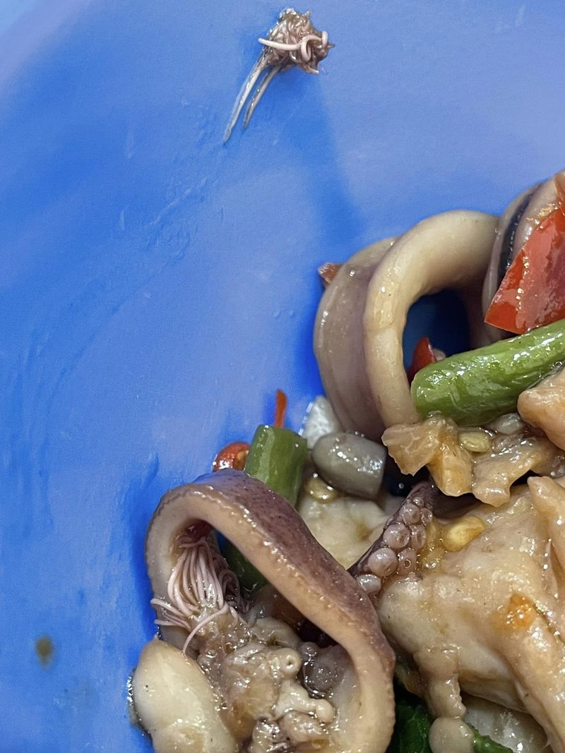 สิ่งแปลกปลอมในหมึก