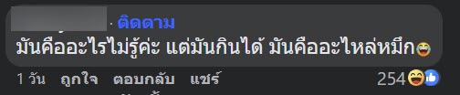 สิ่งแปลกปลอมในหมึก