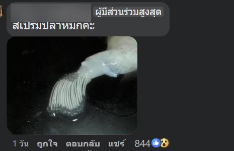 สิ่งแปลกปลอมในหมึก